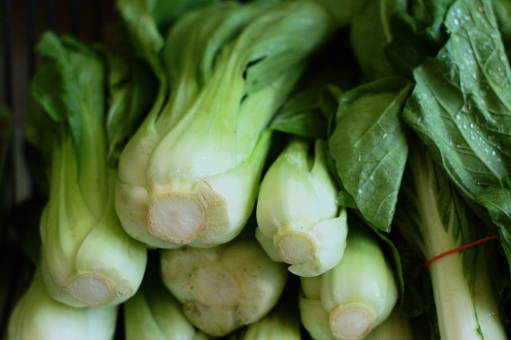 Paksoi zit bomvol vitamine A en is daardoor knalgezond.