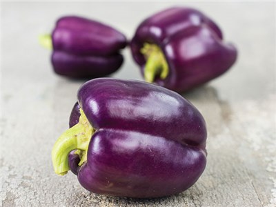Paprika kan paars zijn.