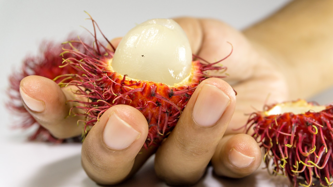 Rambutan: wat is het?