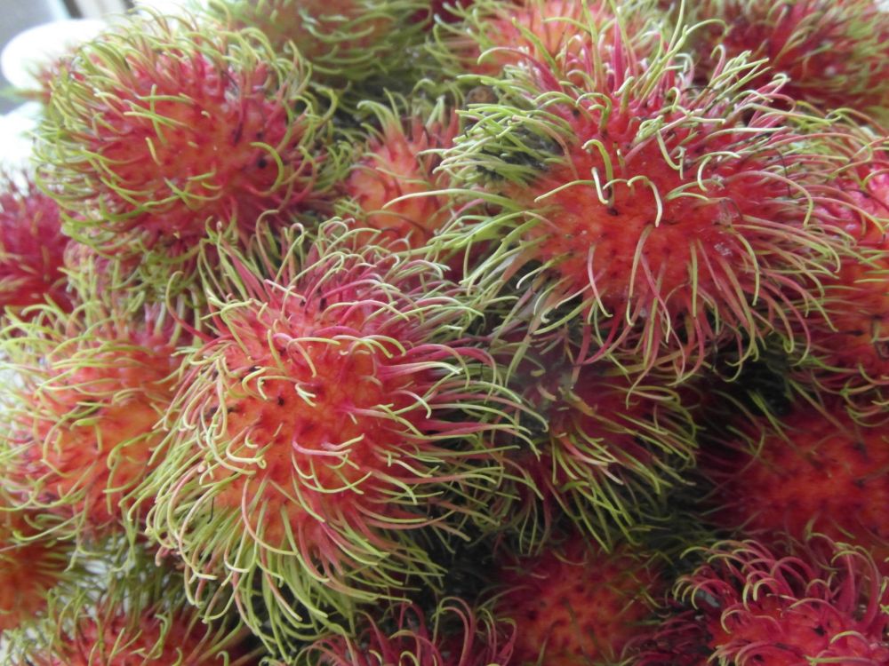 Rambutan: is het gezond?