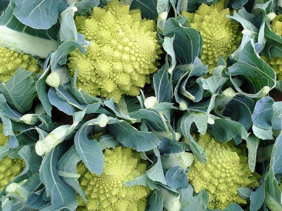 Romanesco: is deze groente gezond?