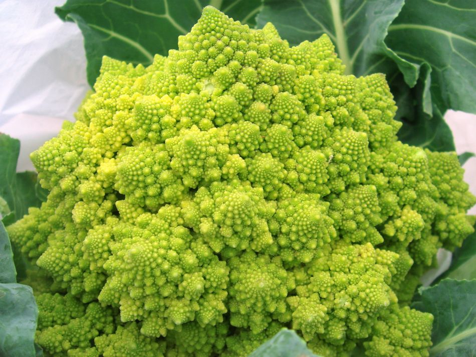 Romanesco lijkt op broccoli en bloemkool.