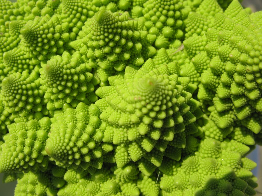 Romanesco: wat is het?
