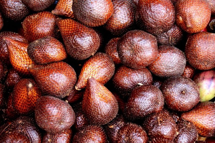 Snake Fruit: een vrucht met rare schil.