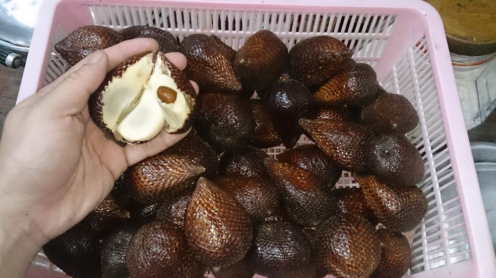 Snake fruit: gezond of niet?