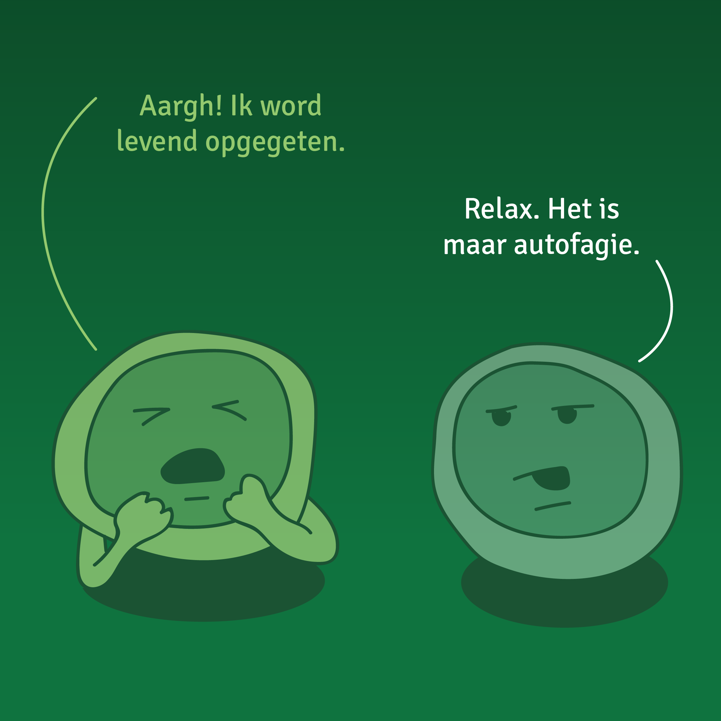 Bij autofagie eten oude cellen zichzelf op.