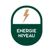 Frecious Energie