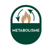 Frecious Metabolisme